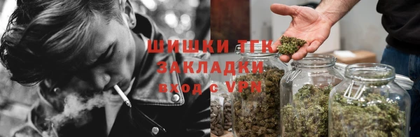 стаф Покачи