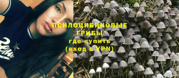 дмт Богородицк