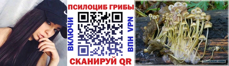 Галлюциногенные грибы прущие грибы  KRAKEN маркетплейс  Тбилисская 