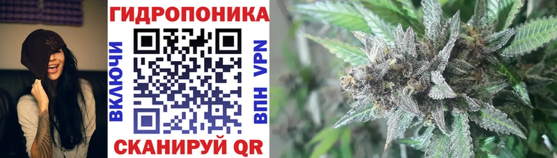 Бошки Шишки Amnesia Тбилисская